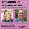 WNLA Podcast - Breaking Up is Hard to Do: Talking LAHSA with LA County and LA City
