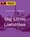LA Podcast - Big Little Liabilities